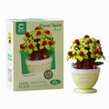 Apple Tree Bonsai House