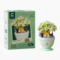 Mint Bonsai Treehouse